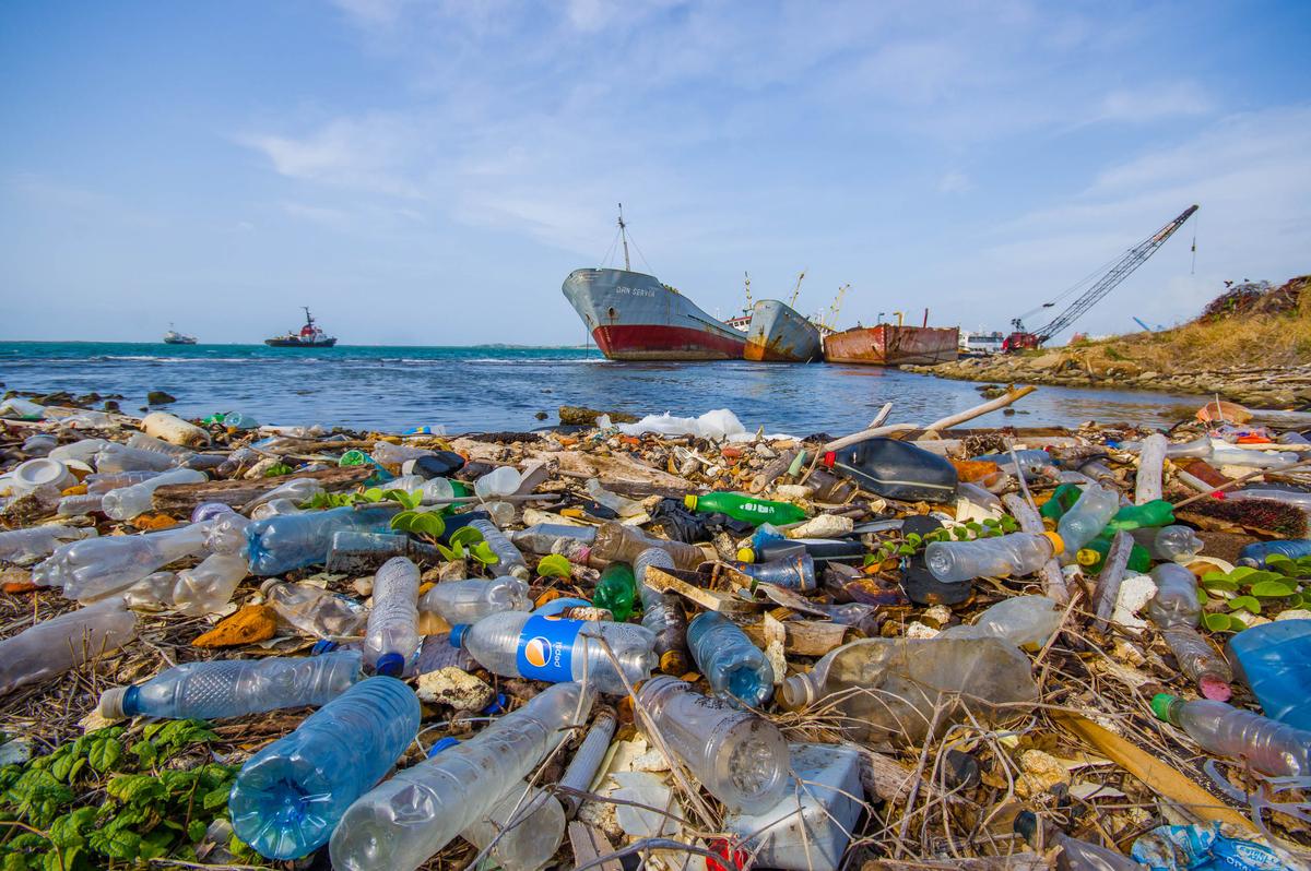 International Criminal Court will now focus on environmental crimes