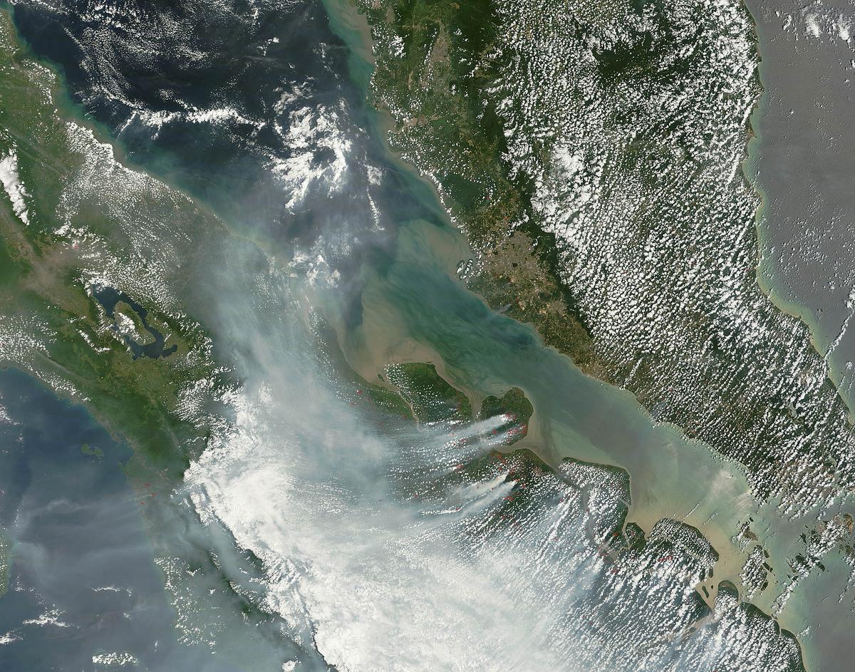 Haze from Indonesian forest fires killed over 100,000 people