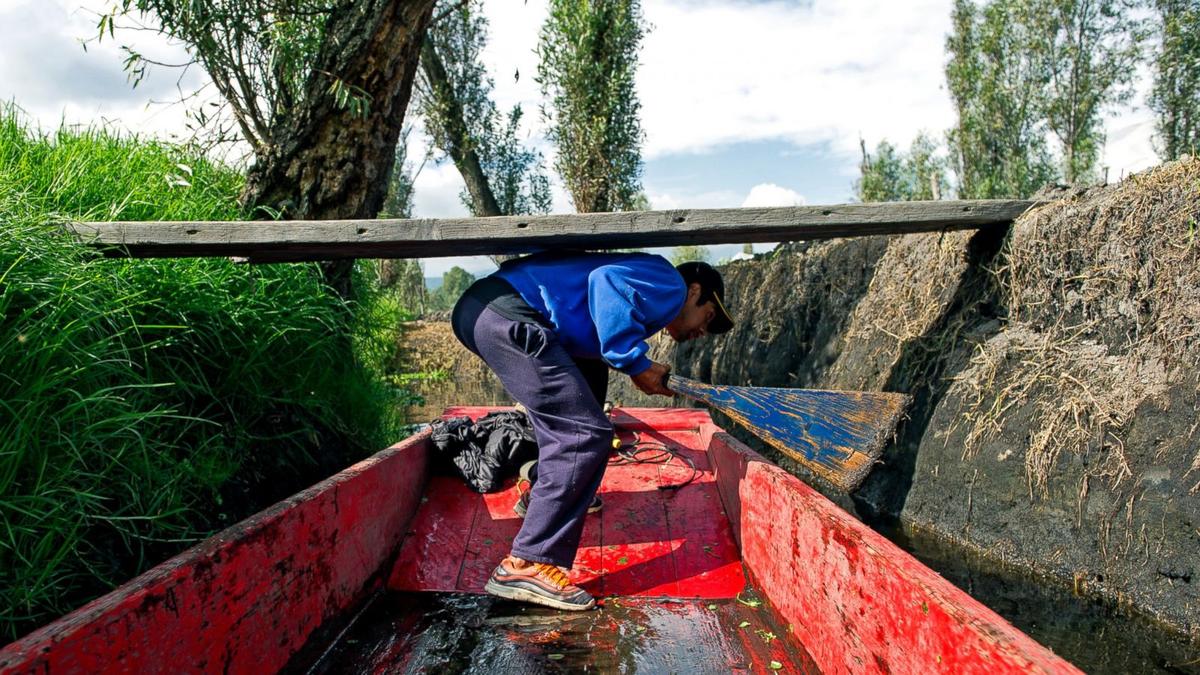 Rainwater harvesting is taking off in Mexico