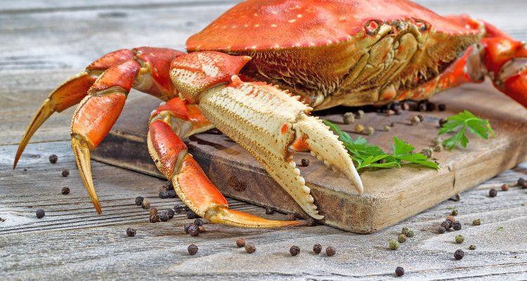 Ocean acidification is threatening crab populations