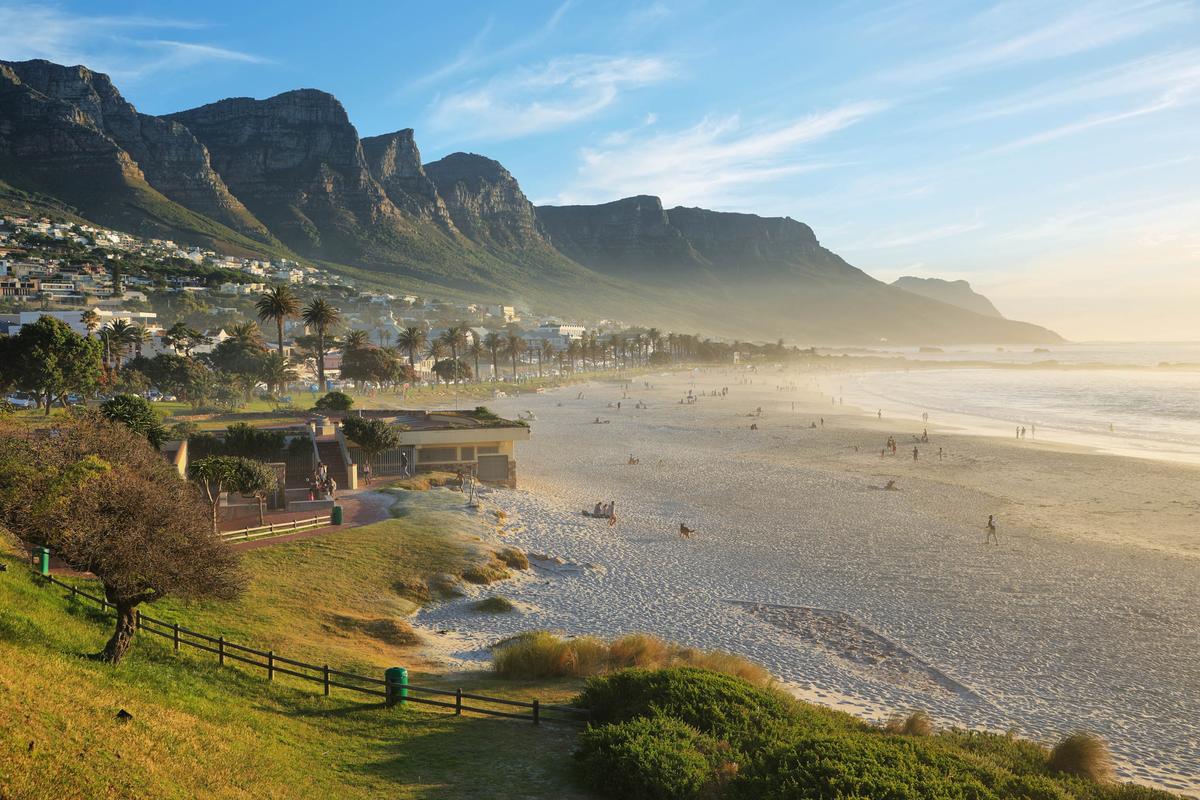 Urban shorelines support more animal life than remote beaches
