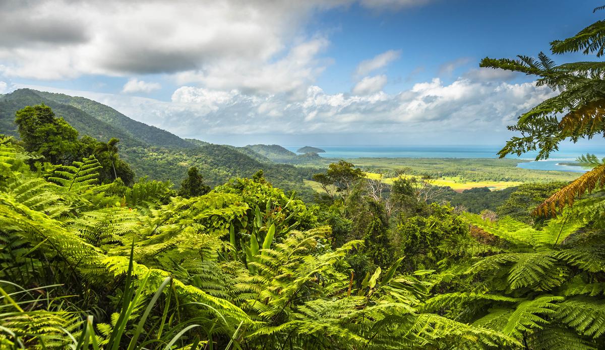 Study: Small farmers have a negative impact on rainforests