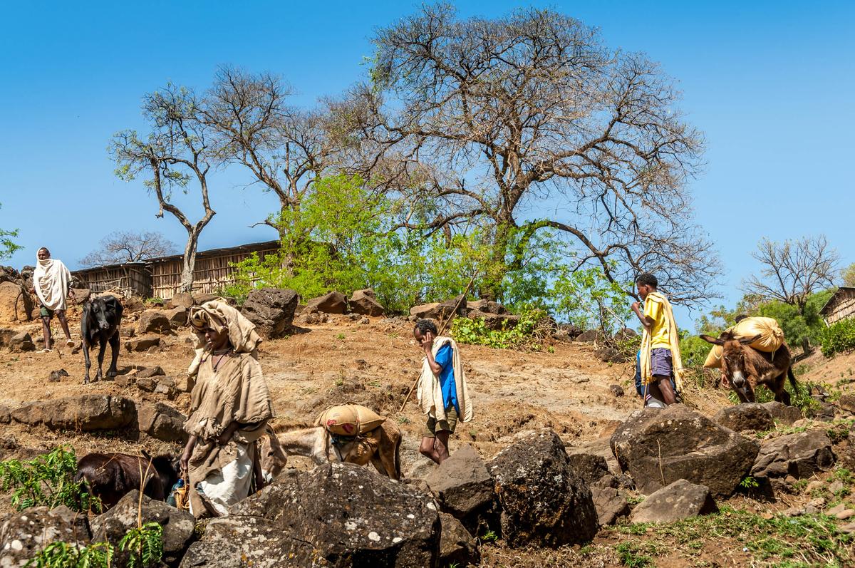 Some regions of the globe may benefit from climate change