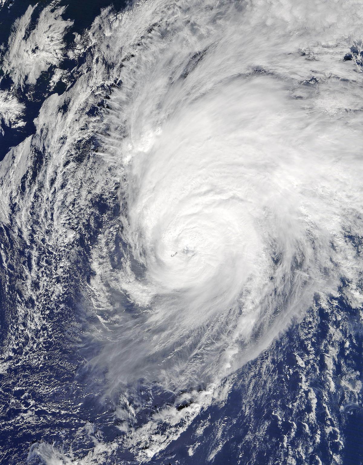 Hurricane Nicole seen moving over cold North Atlantic