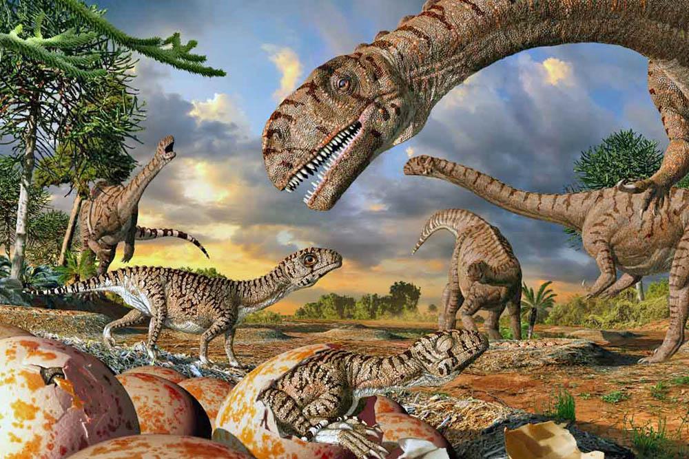 First evidence that dinosaurs lived in Denali National Park