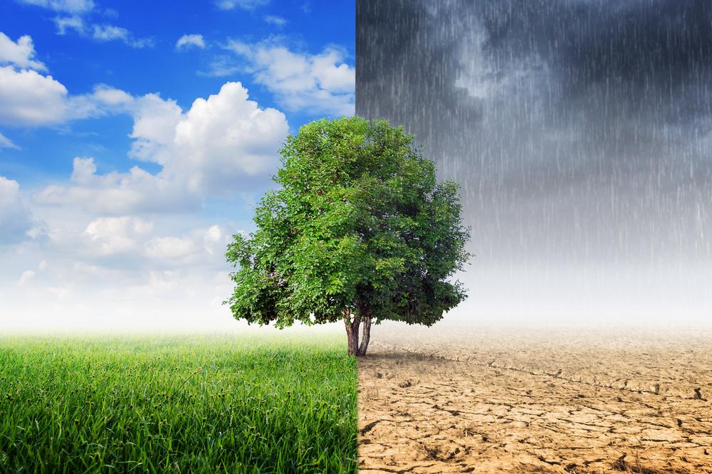 The Paris Agreement: How it may help vulnerable countries fight climate change