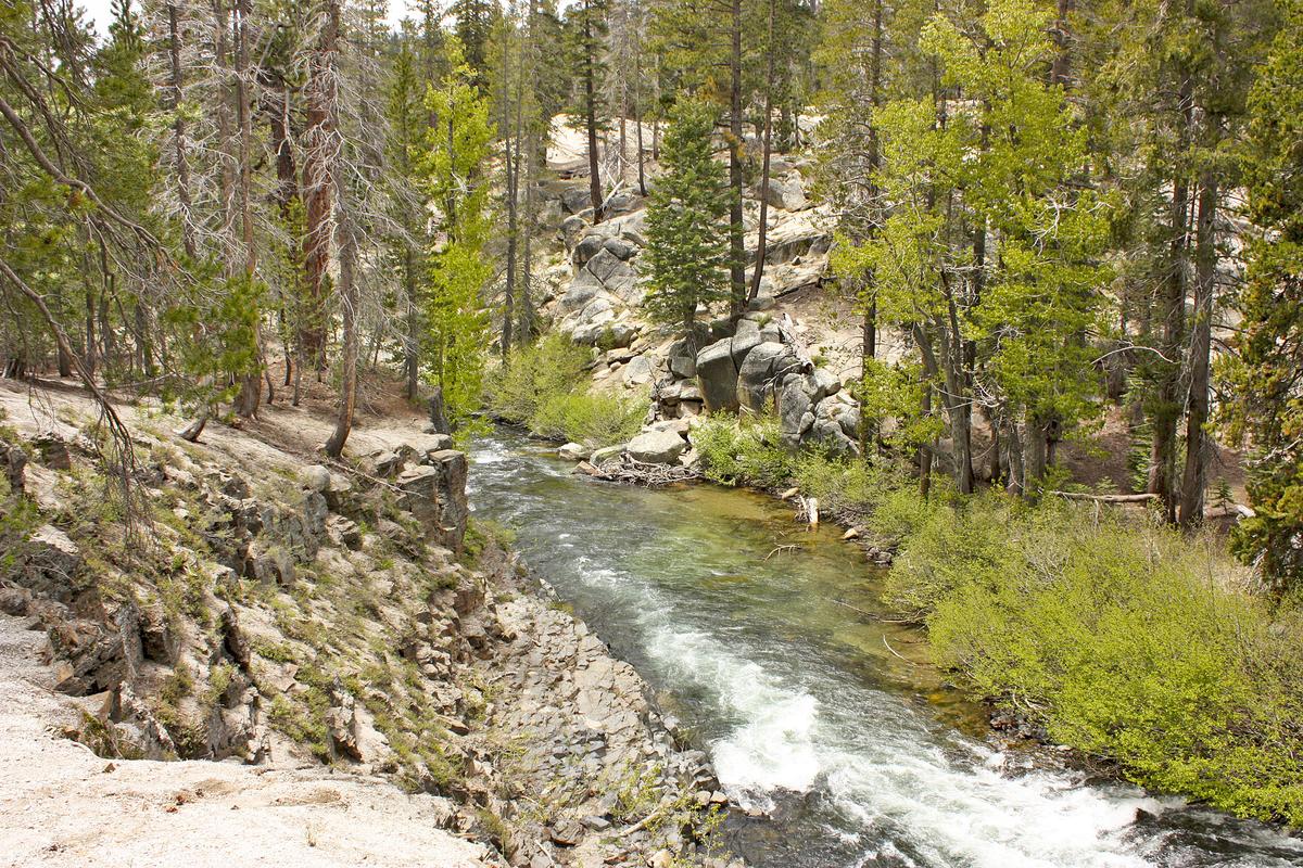 Salmon will soon swim up the San Joaquin River again to spawn