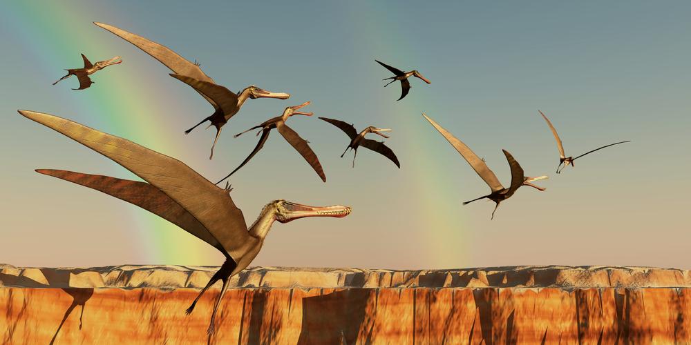 New research shows dinosaurs flocked together