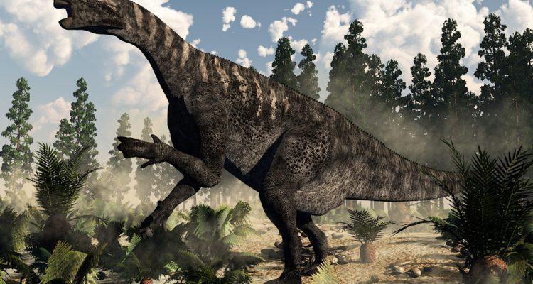 Fossilized dinosaur brain from 133 million years ago found in UK