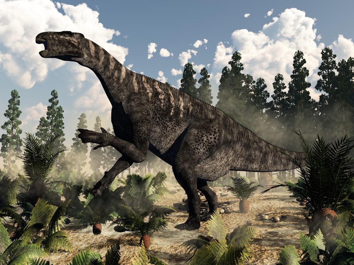 Fossilized dinosaur brain from 133 million years ago found in UK