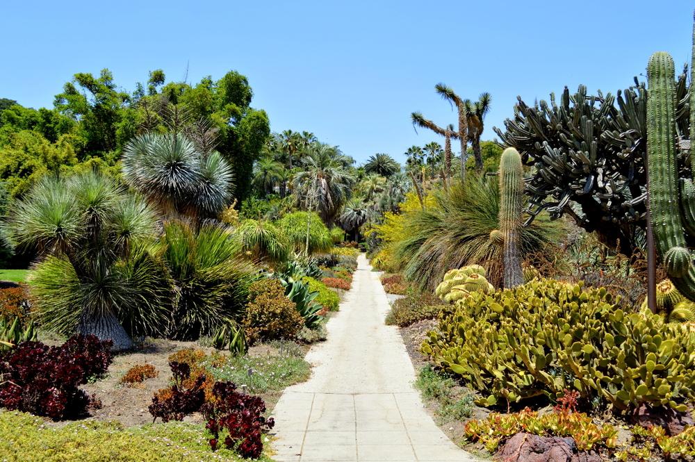 California water agencies questioning lawn experiment