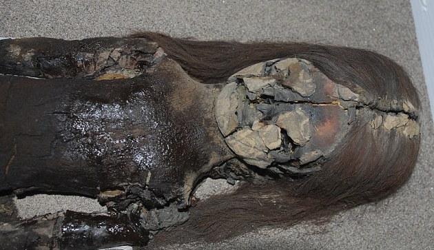 Chinchorro Chilean mummies reduced to slime by climate change