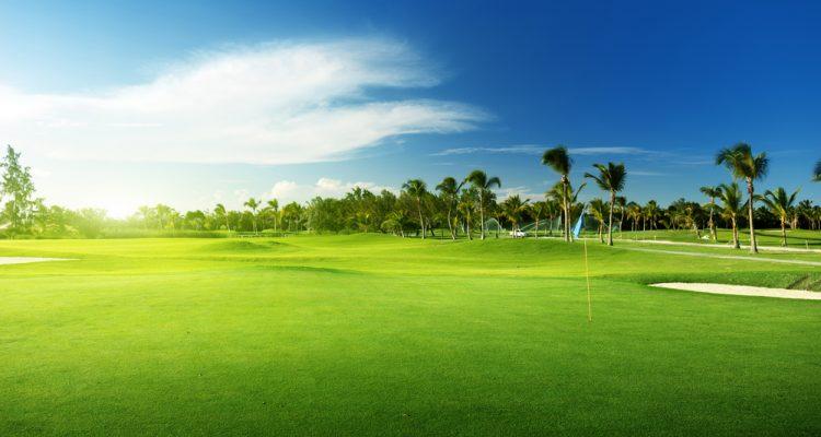 Golfers beware – new golf course fungal disease