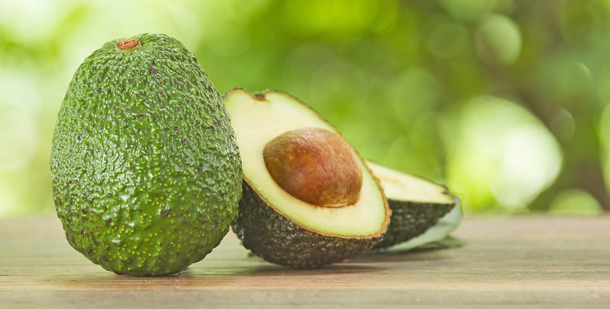 Mexican avocado deforestation: orchards to blame