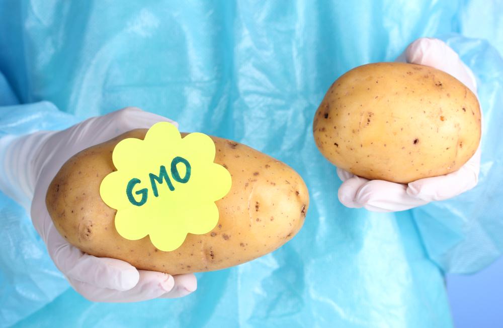 New genetically engineered potatoes approved by USDA