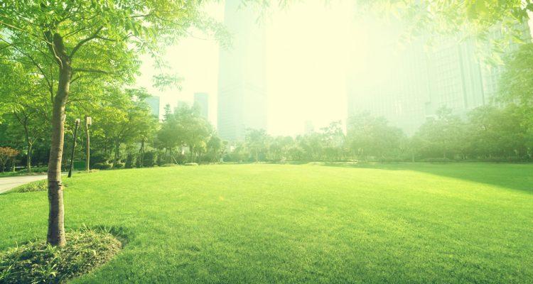 Urban forest planning simplified by new database