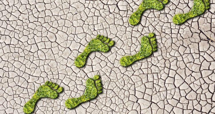 Human nutrition's carbon footprint analyzed by resultant greenhouse gas