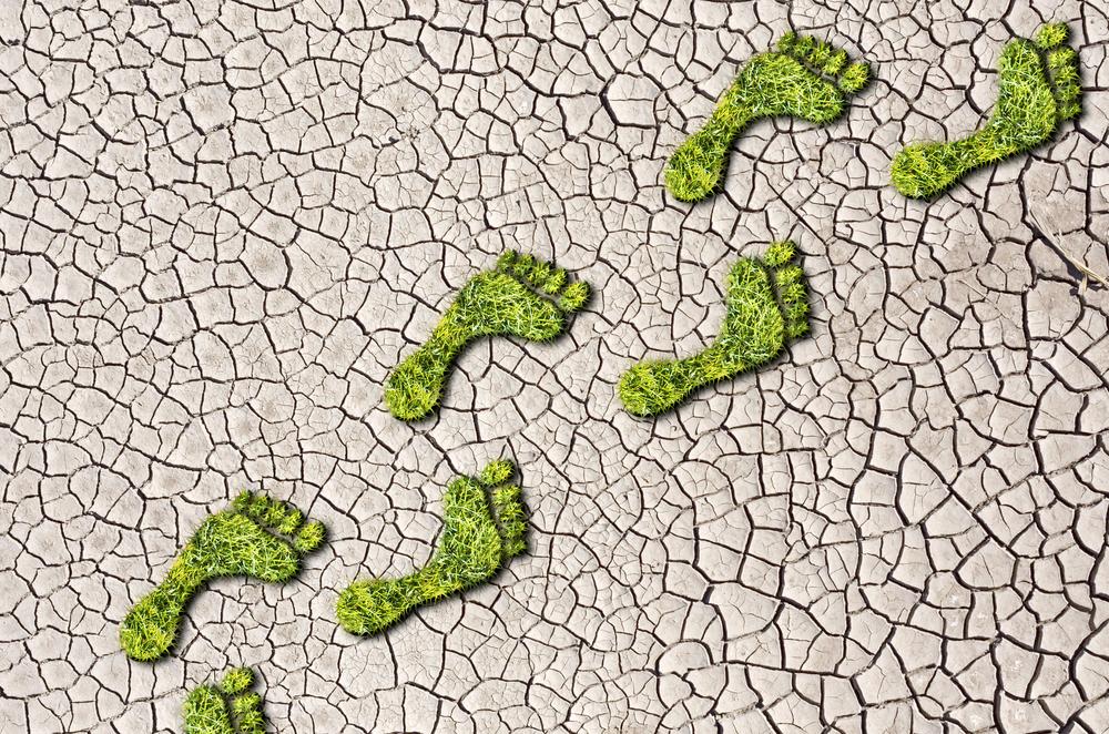 Human nutrition's carbon footprint analyzed by resultant greenhouse gas