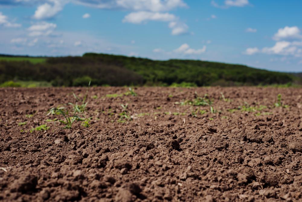 Soil causes climate change, shocking report attests
