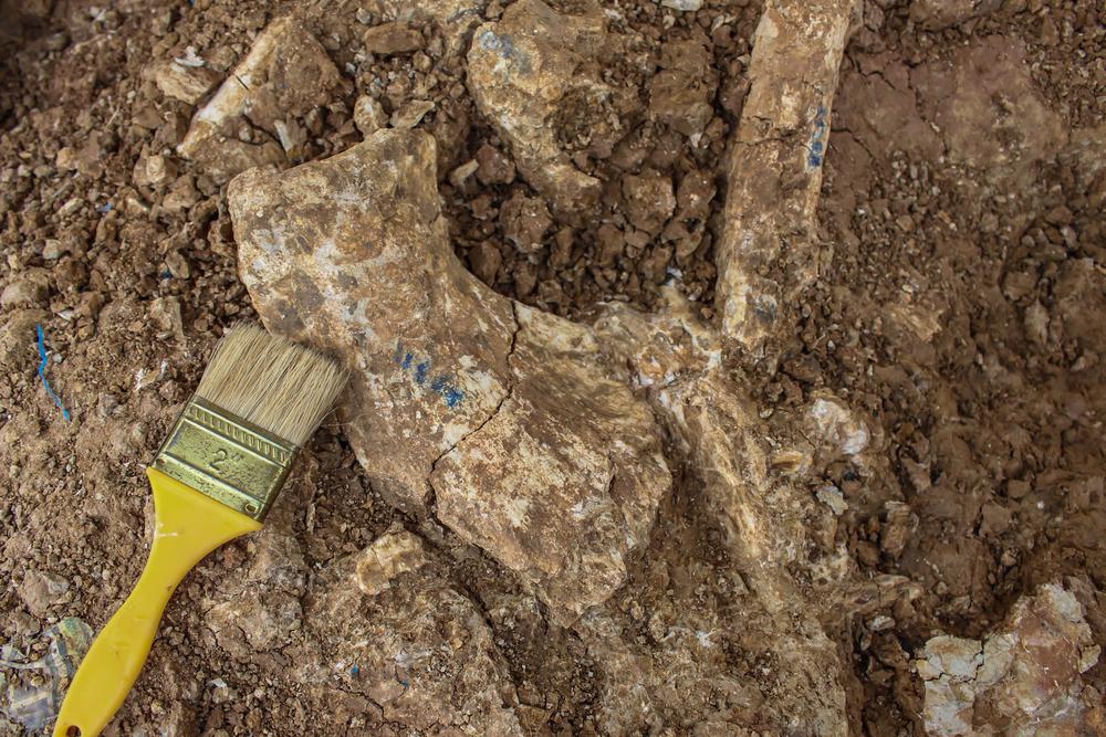 Mud dragon: dinosaur fossil offers a glimpse into the reptiles' final days