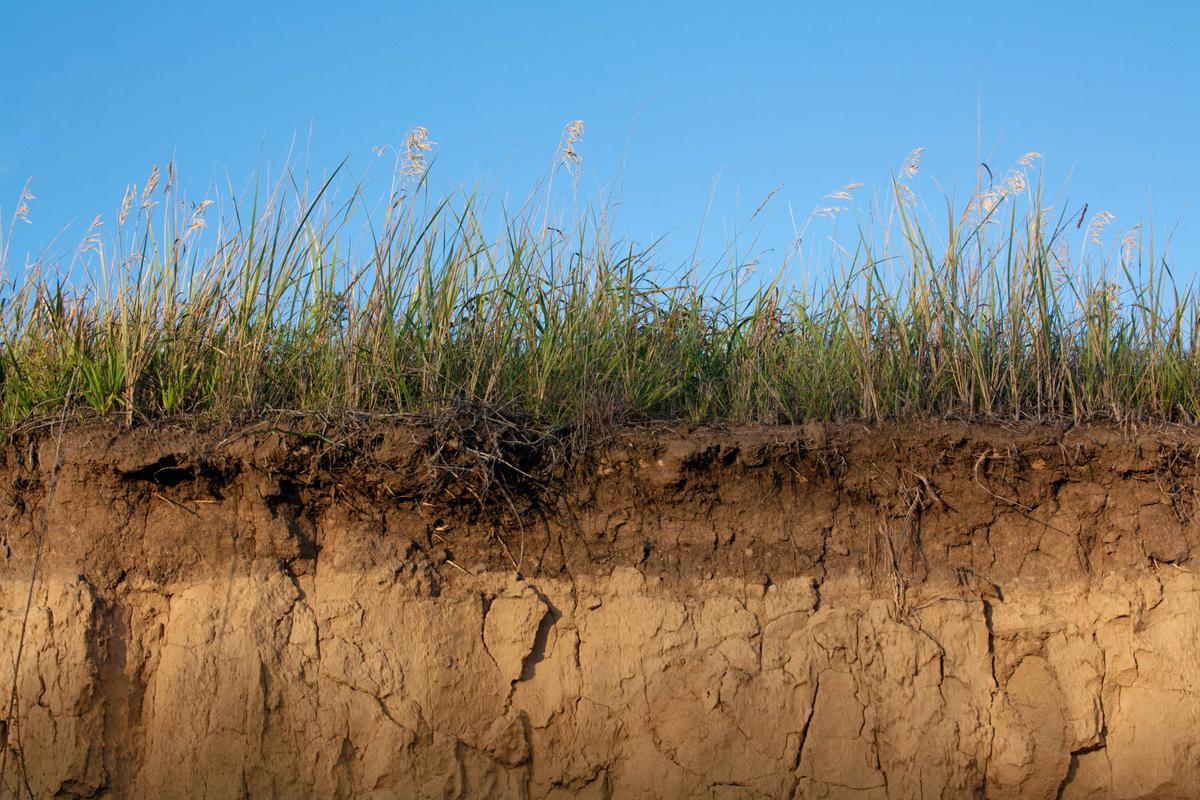 Life on Earth existed on land much earlier than previously believed