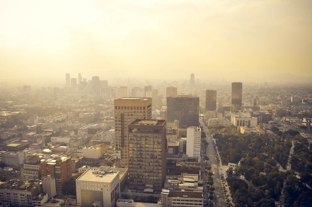 Four major cities plan diesel ban