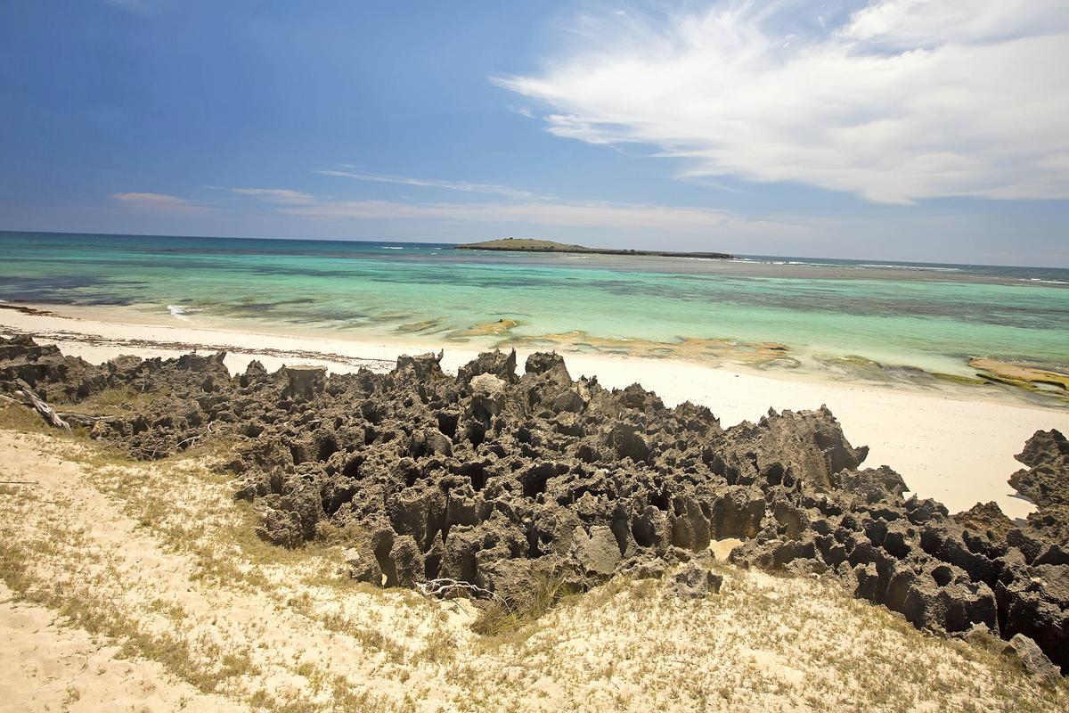 New dead zone in the Indian Ocean could impact future marine nutrient balance