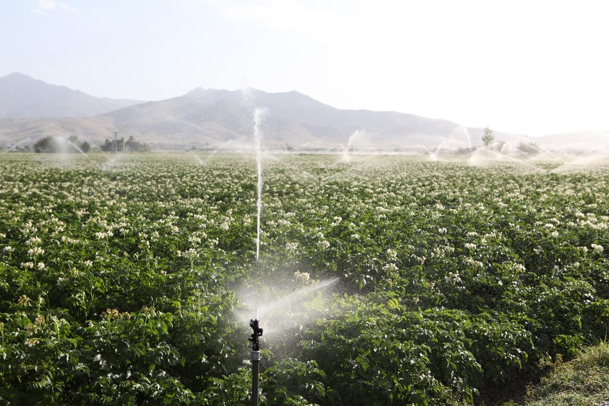 California's water systems enter new era of environmental regulation
