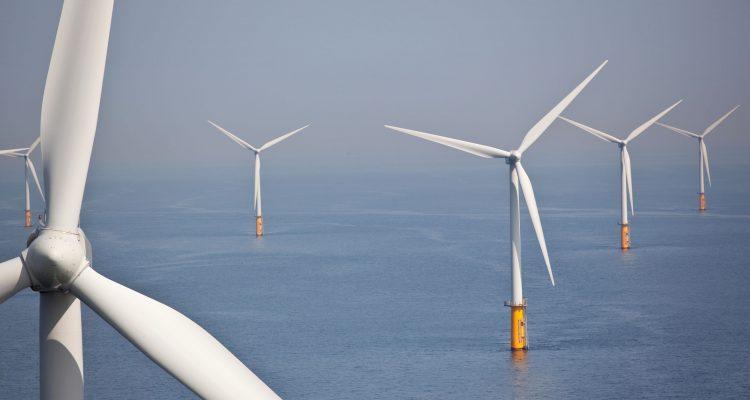 Offshore wind farms pose a risk to birds of prey