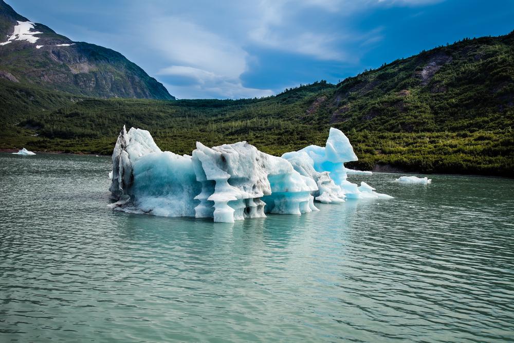 Shrinking polar ice caught world's attention in 2016