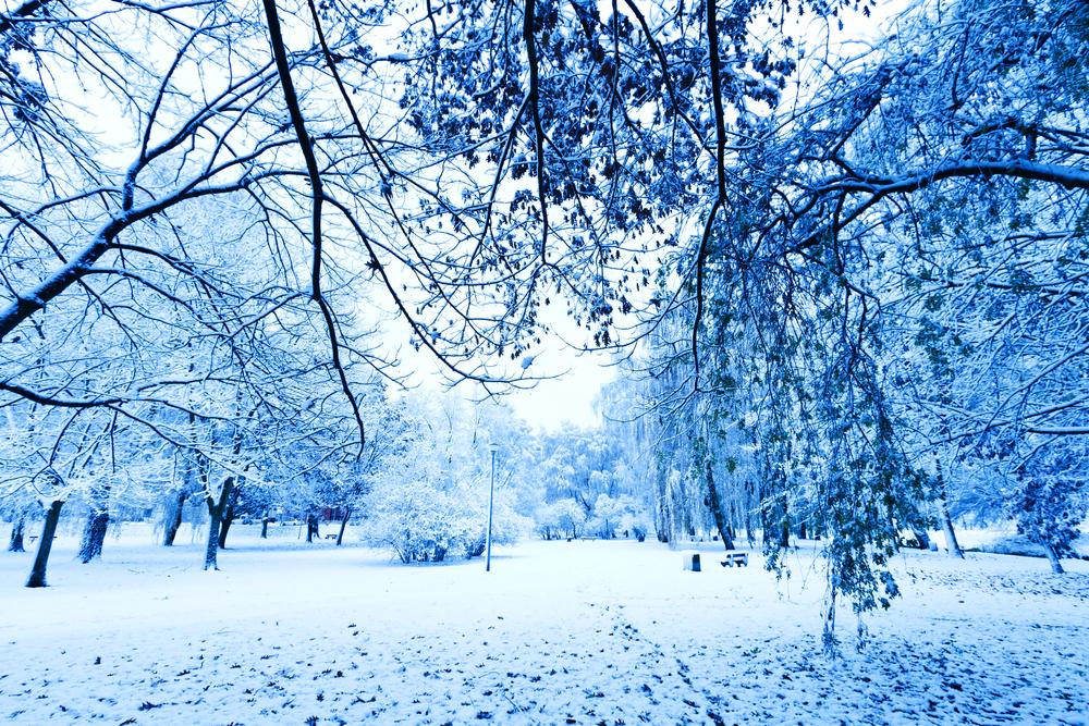 UK to be hit with severe arctic blast this week