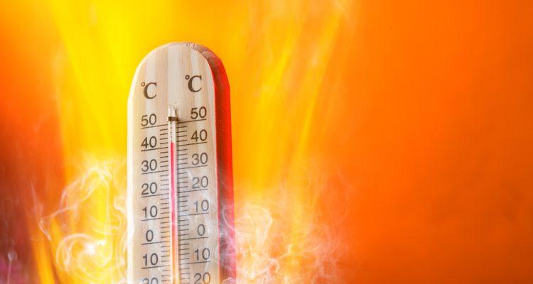2016 rising temperatures: Data shows it was hottest year yet