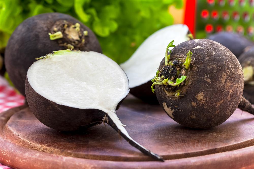 This town stinks thanks to rotting radishes