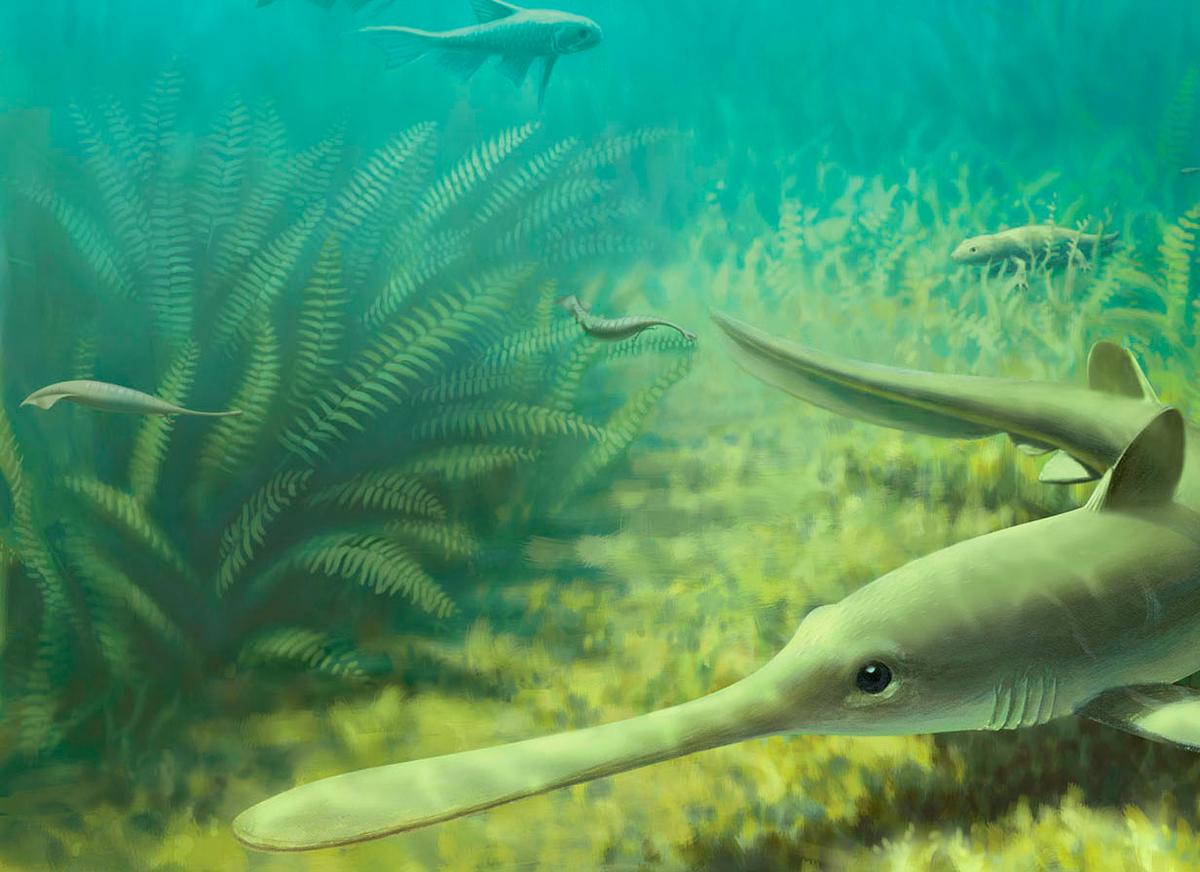 Think the Tully monster mystery is over? Think again!
