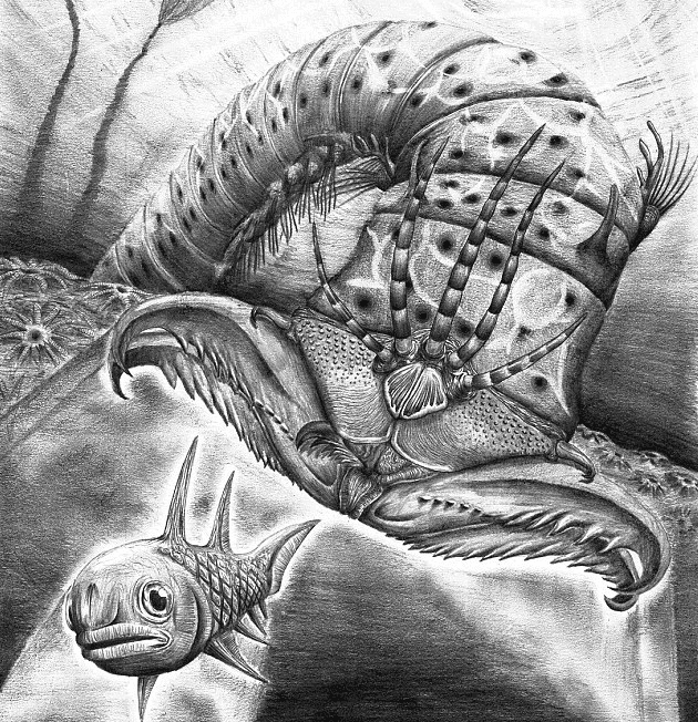 Prehistoric bristle worm terrified fish with biggest jaws ever