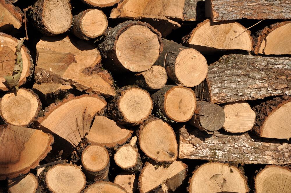 Woody biomass is carbon neutral? Probably not says researcher