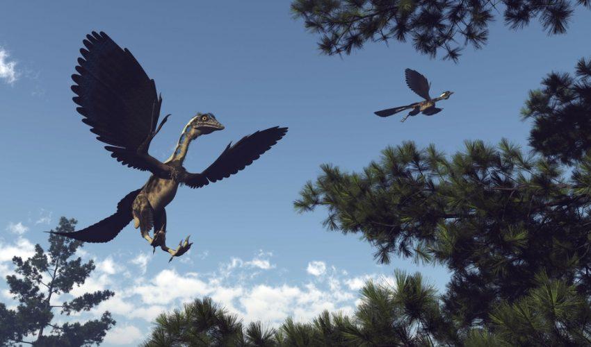 Scientists: transition from dinosaurs to birds was complex journey
