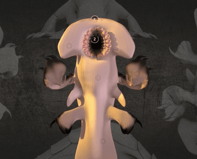 3D images show what aliens might really look like