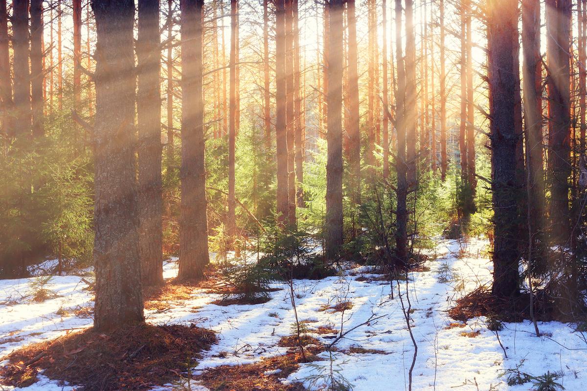 Last month was the second warmest February on record