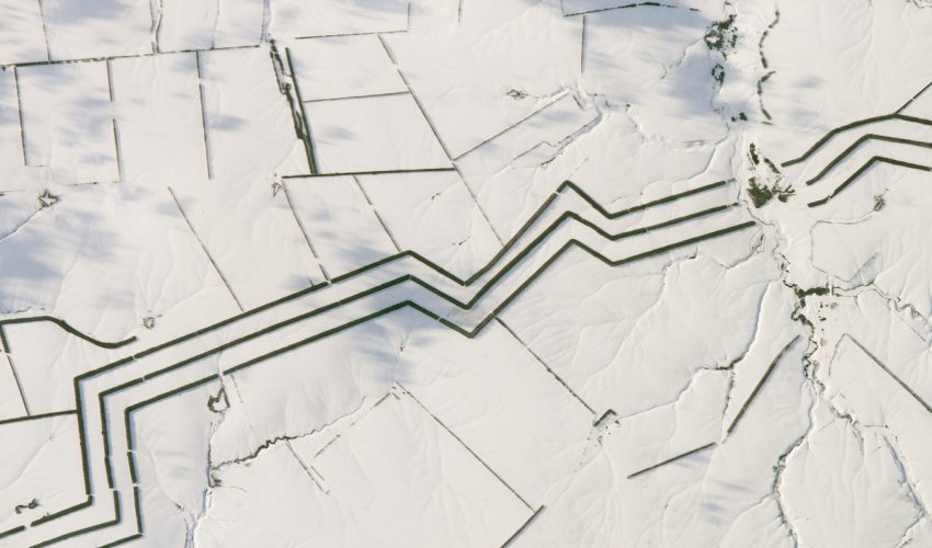 Shelterbelts in southern Russia protect crops