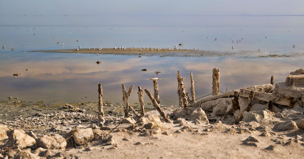 California unveils plan to rescue the Salton Sea