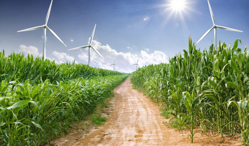 Trump begins dismantling Obama-era environmental policies