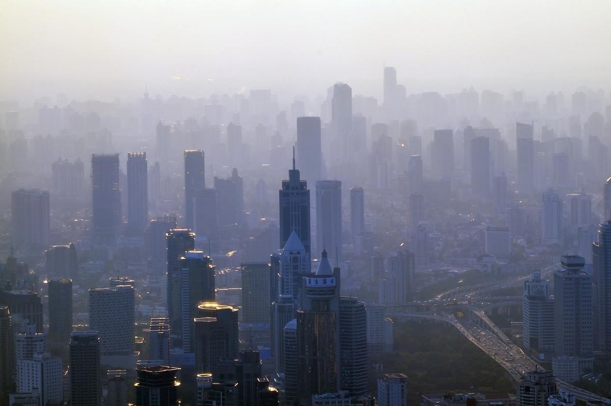 Vitamin B might offer some protection against air pollution