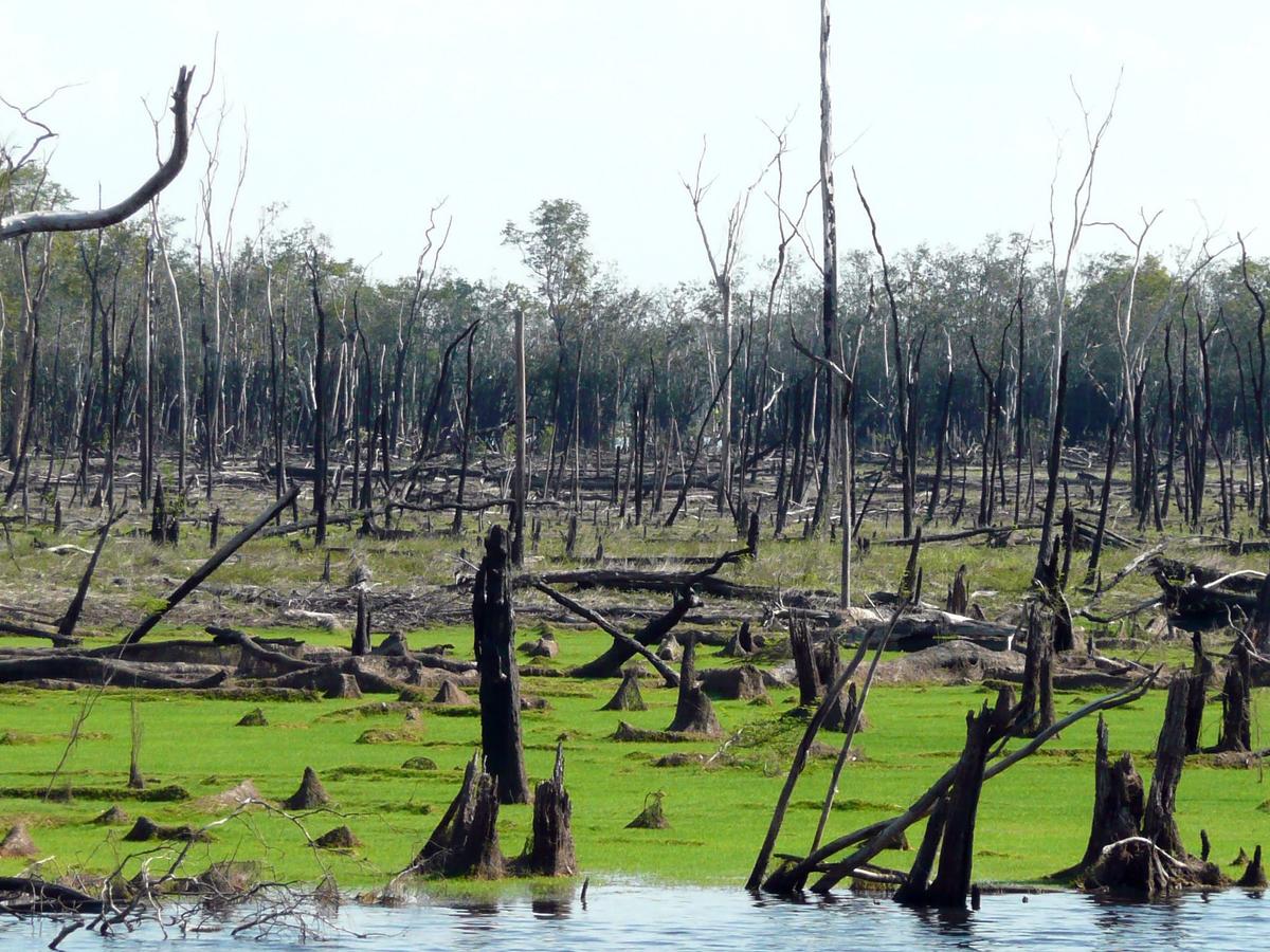 The Amazon’s floodplains leave it vulnerable to devastating fires