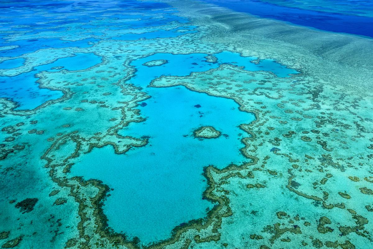 Over half of the Great Barrier Reef severely damaged by bleaching