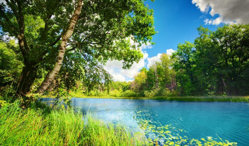 There is significantly less fresh water on Earth than we thought