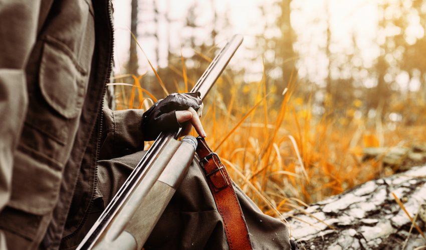 Hunting significantly reduces bird and mammal populations
