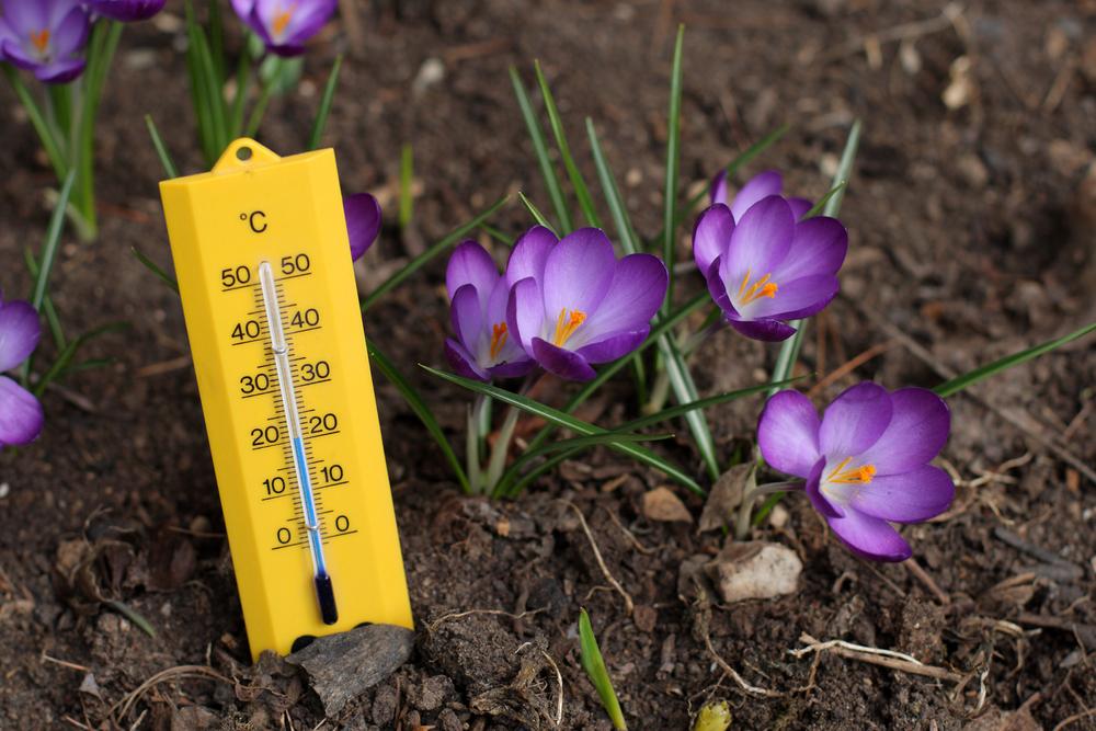 Spring temperatures are heating up in the UK