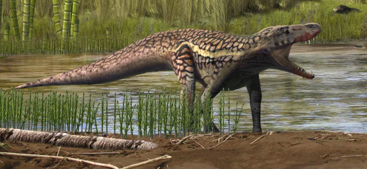 Fossil footprints shed light on recovery after mass extinction