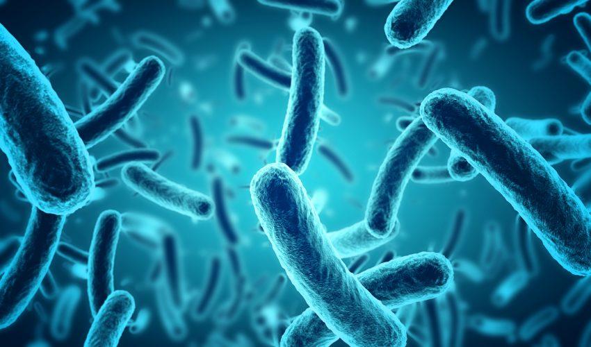 Methane-making microbes kept early oceans from freezing over